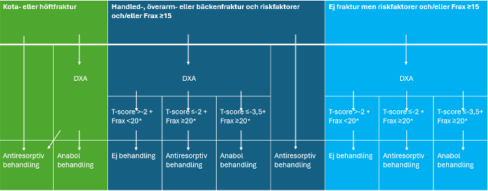 Handläggning vid misstänkt osteoporos