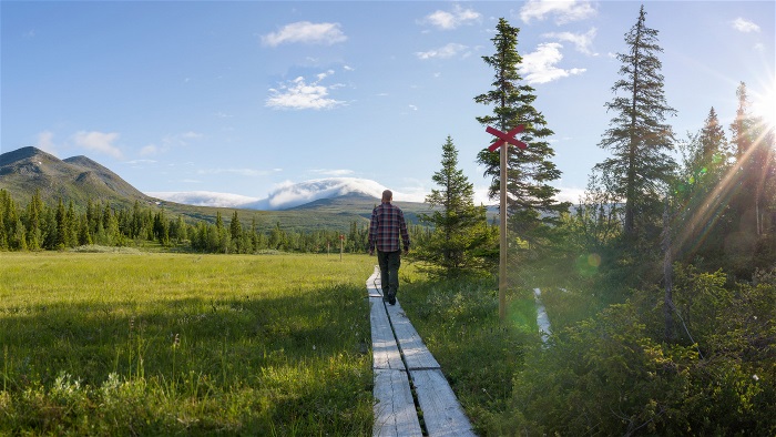 Natur fjäll, gångstig