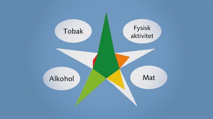 illustration av en stjärna med texten alkohol, fysisk aktivitet, tobak och matvanor i bubblor.