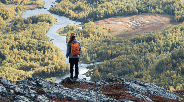 Vybild över skog och fjäll men en person i förgrunden