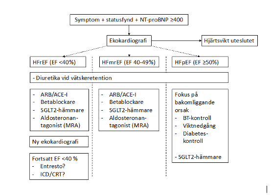 Flödesschema hjärtsvikt