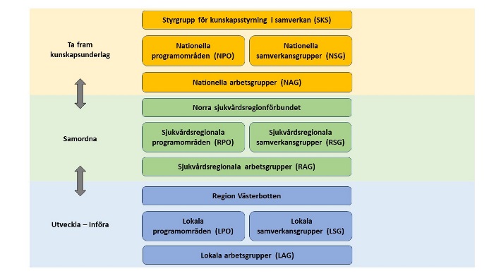 Översiktsbild över den nationella, regionala och lokala strukturen för kunskapsstyrning.