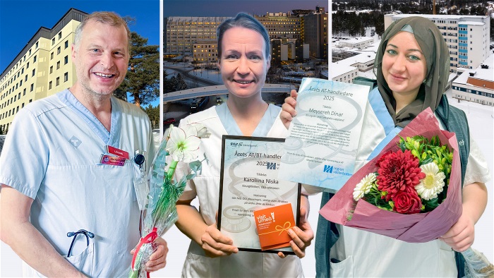 Fotomontage av &aring;rets AT-handledare 2025.