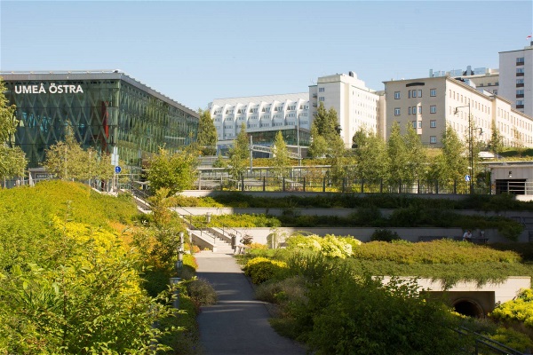 Norrlands universitetssjukhus och Östra station