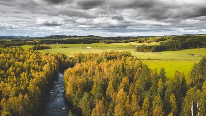 Natur vattendrag skog