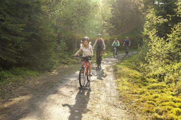 Fyra personer som cyklar på en landsväg