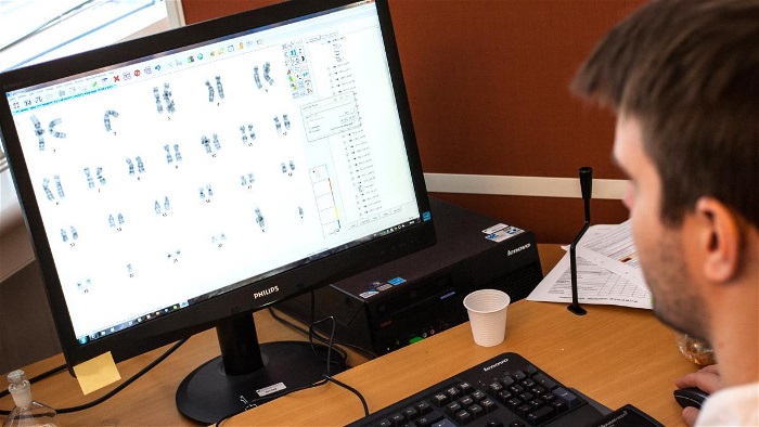Bild med personal vid dator som visar kromosomer